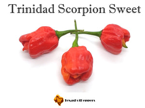 Trinidad Scorpion Sweet
