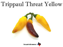 Load image into Gallery viewer, Trippaul Threat Yellow