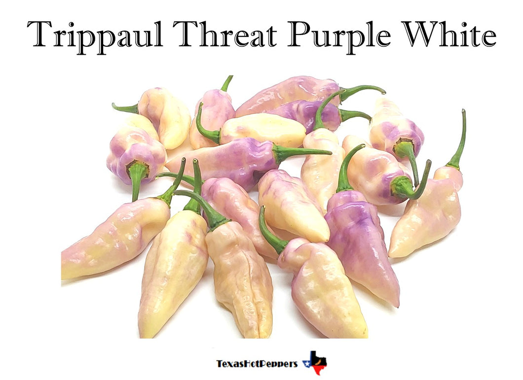 Trippaul Threat Purple White