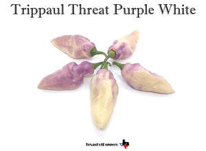 Trippaul Threat Purple White