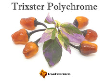 Load image into Gallery viewer, Trixster Polychrome