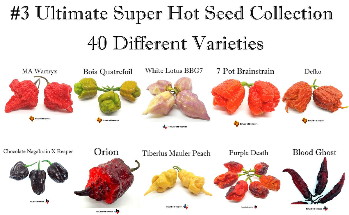 #3 Ultimate Super Hot Seed Collection - 40 Different Scorching Hot Var ...