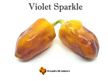 Load image into Gallery viewer, Violet Sparkle