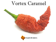 Load image into Gallery viewer, Vortex Caramel
