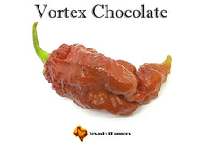 Load image into Gallery viewer, Vortex Chocolate