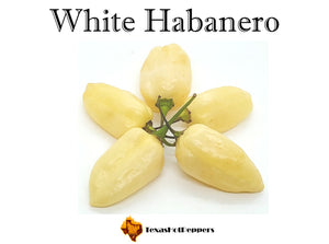White Habanero