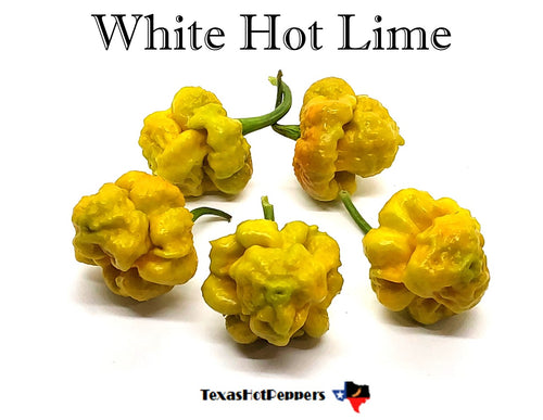 White Hot Lime