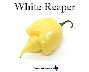 White Reaper