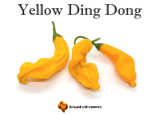Yellow Ding Dong