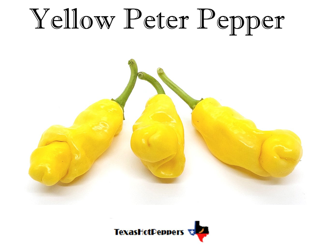 ペッパーです。 Yellow Peter Pepper – Texas Hot Peppers