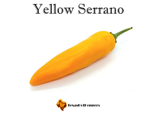 Yellow Serrano