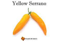 Load image into Gallery viewer, Yellow Serrano