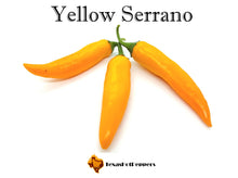 Load image into Gallery viewer, Yellow Serrano