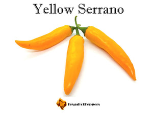 Yellow Serrano