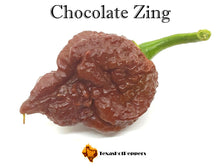 Load image into Gallery viewer, Chocolate Zing