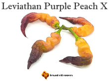 Load image into Gallery viewer, Leviathan Purple Peach X
