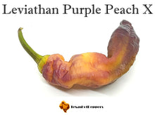 Load image into Gallery viewer, Leviathan Purple Peach X