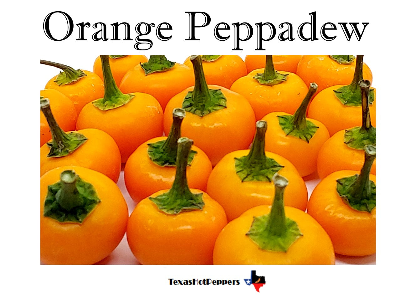 Orange Peppadew – Texas Hot Peppers