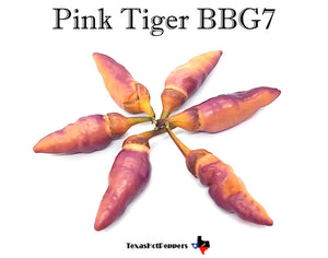Pink Tiger BBG7