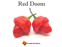 Load image into Gallery viewer, Red Doom