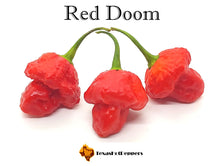 Load image into Gallery viewer, Red Doom
