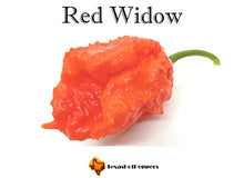 Load image into Gallery viewer, Red Widow