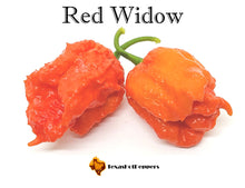 Load image into Gallery viewer, Red Widow