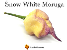 Load image into Gallery viewer, Snow White Moruga