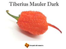 Load image into Gallery viewer, Tiberius Mauler Dark