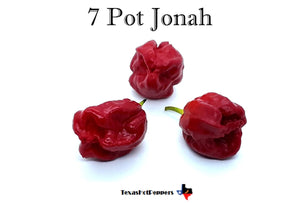 7 Pot Jonah Seeds