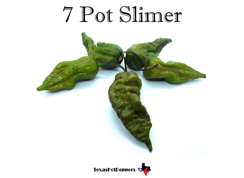7 Pot Slimer
