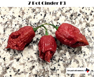 7 Pot Cinder F3