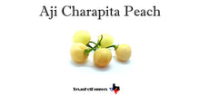 Load image into Gallery viewer, Aji Charapita Peach