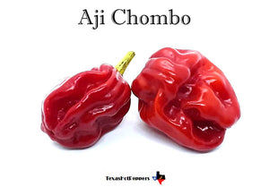 Aji Chombo