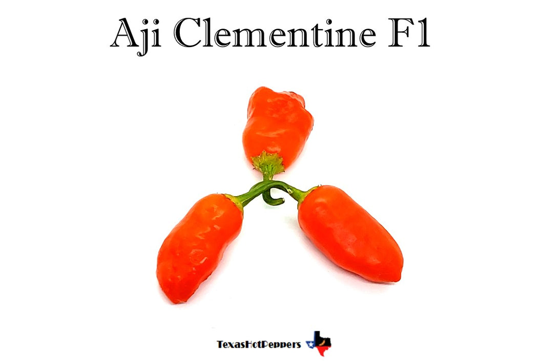 Aji Clementine F1