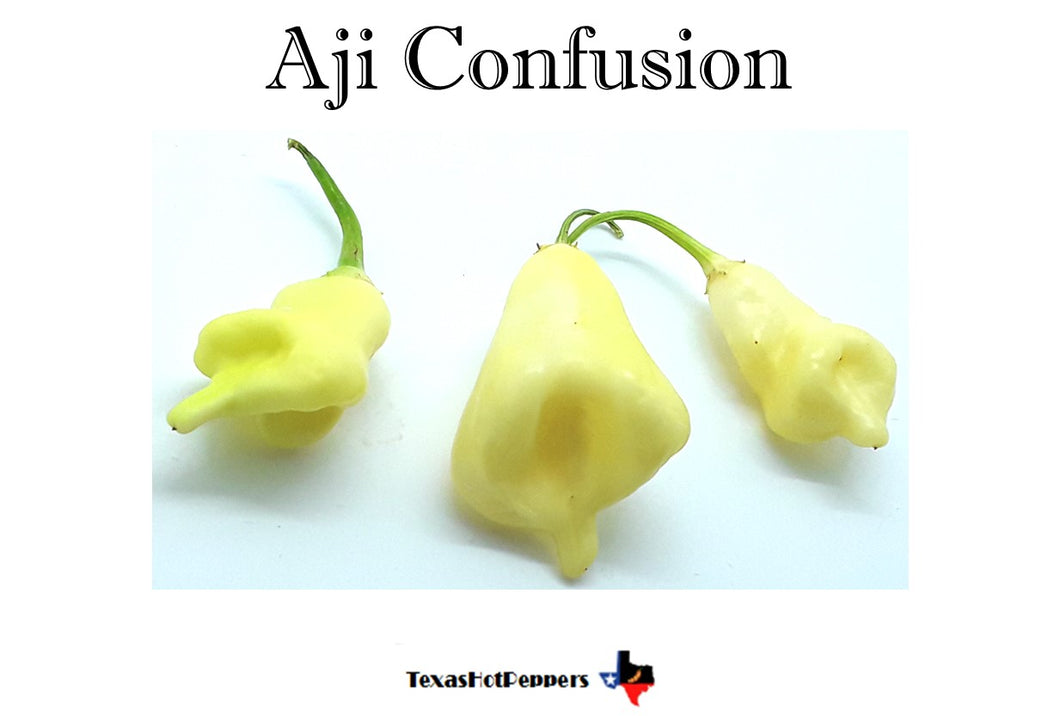 Aji Confusion