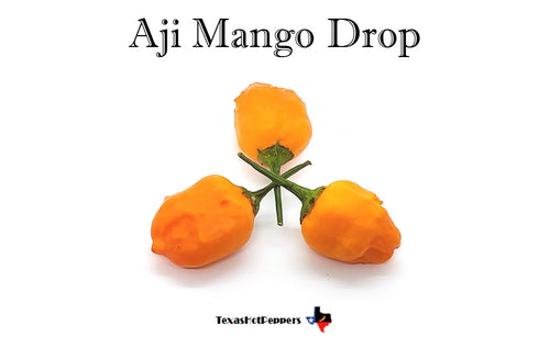 Aji Mango Drop