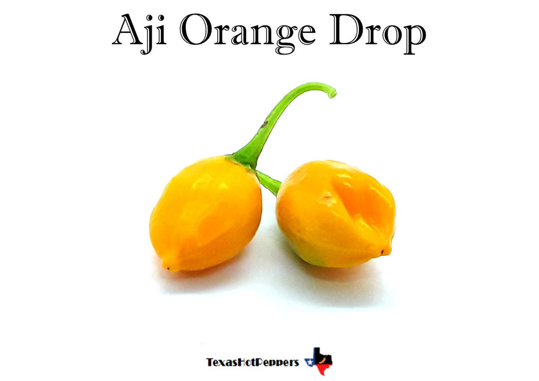 Aji Orange Drop