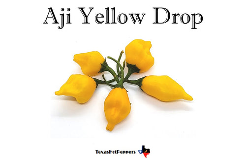 Aji Yellow Drop