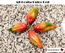 Load image into Gallery viewer, Aji Rosita Dulce Red