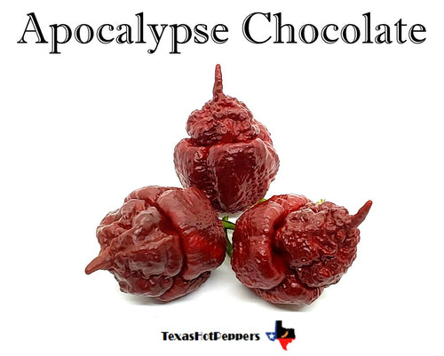 Apocalypse Chocolate