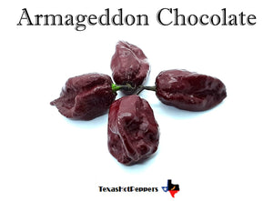 Armageddon Chocolate