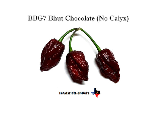 BBG7 Bhut Chocolate - No Calyx