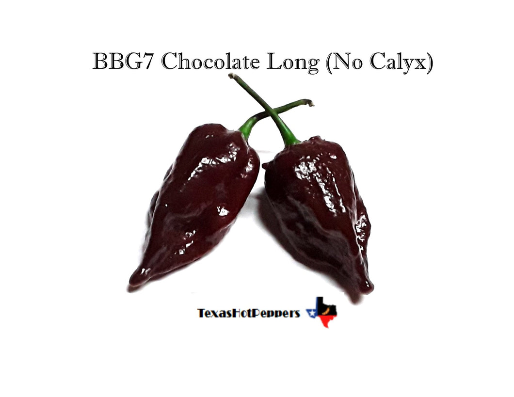BBG7 Chocolate Long - No Calyx