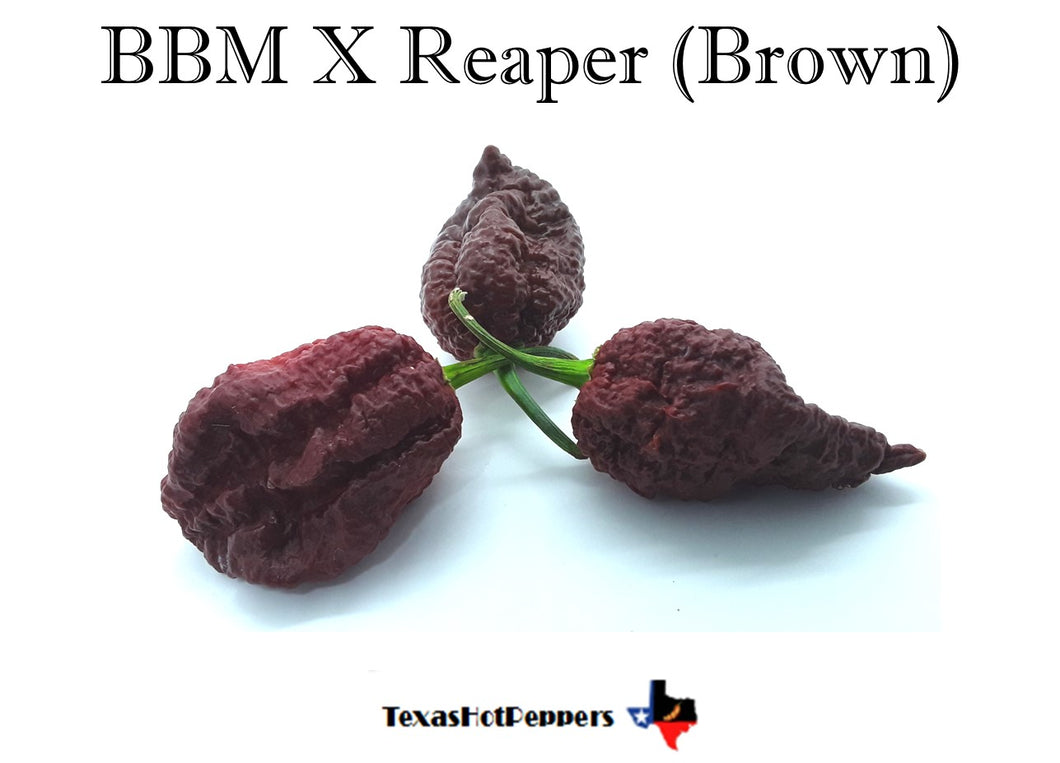 BBM X Reaper (Brown)