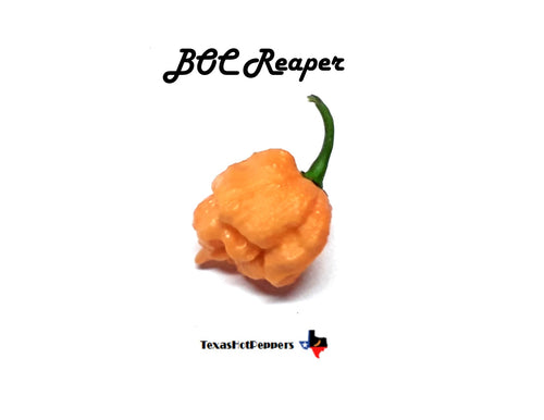 BOC X Reaper