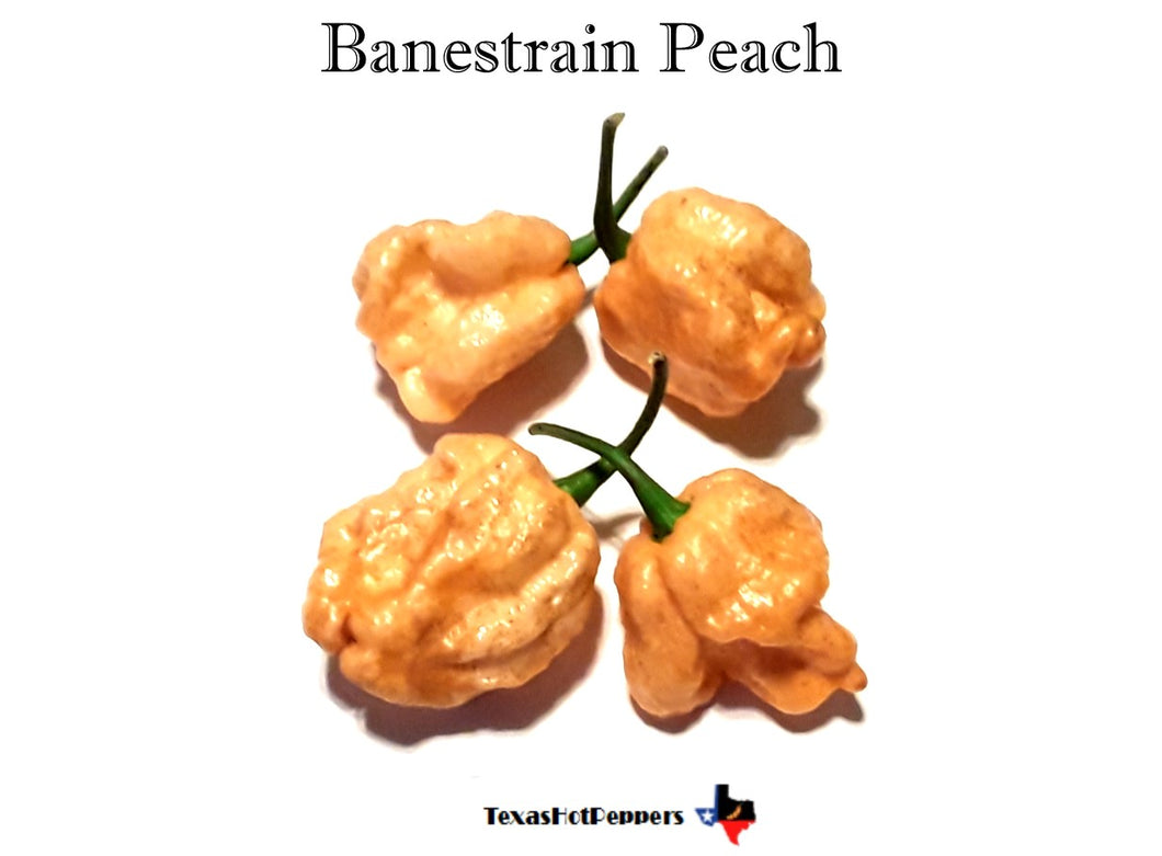 Banestrain Peach