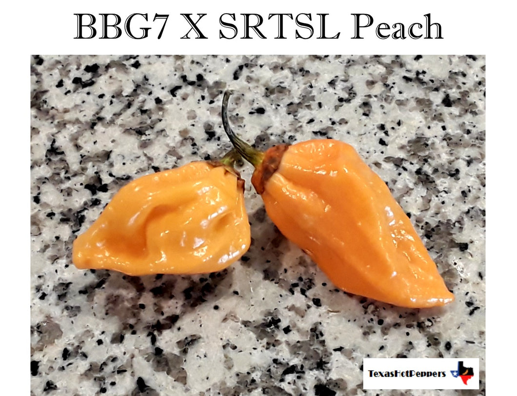 BBG7 X SRTSL Peach