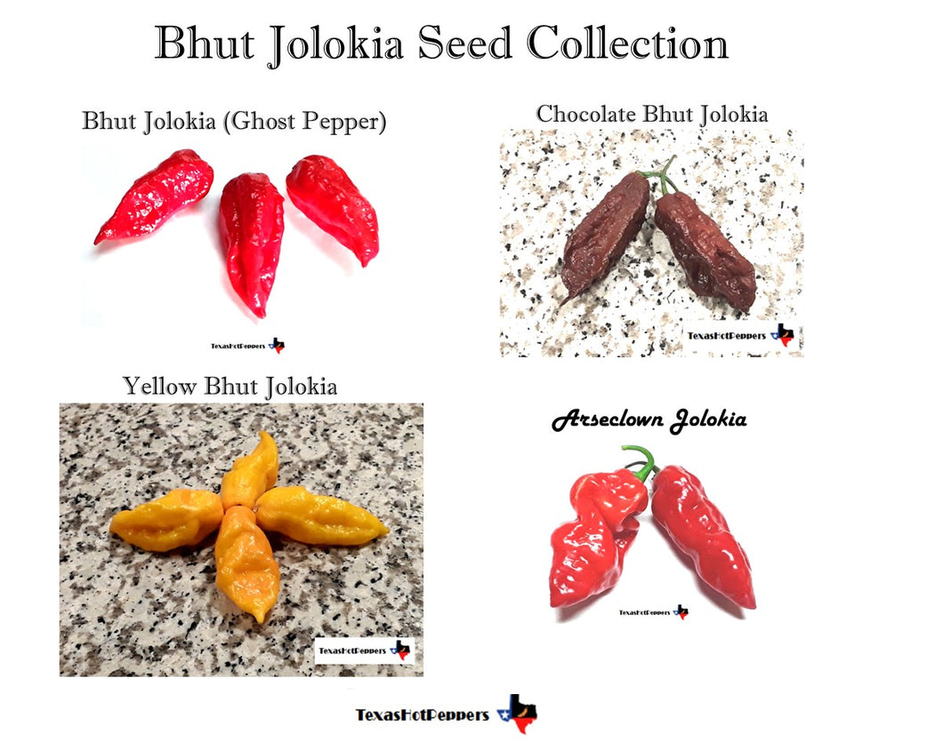 Bhut Jolokia - Seed Collection - 10 Different Bhut types