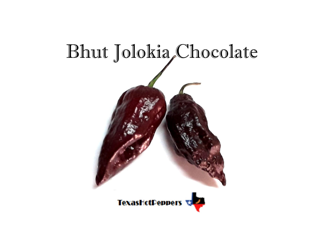 Bhut Jolokia Chocolate